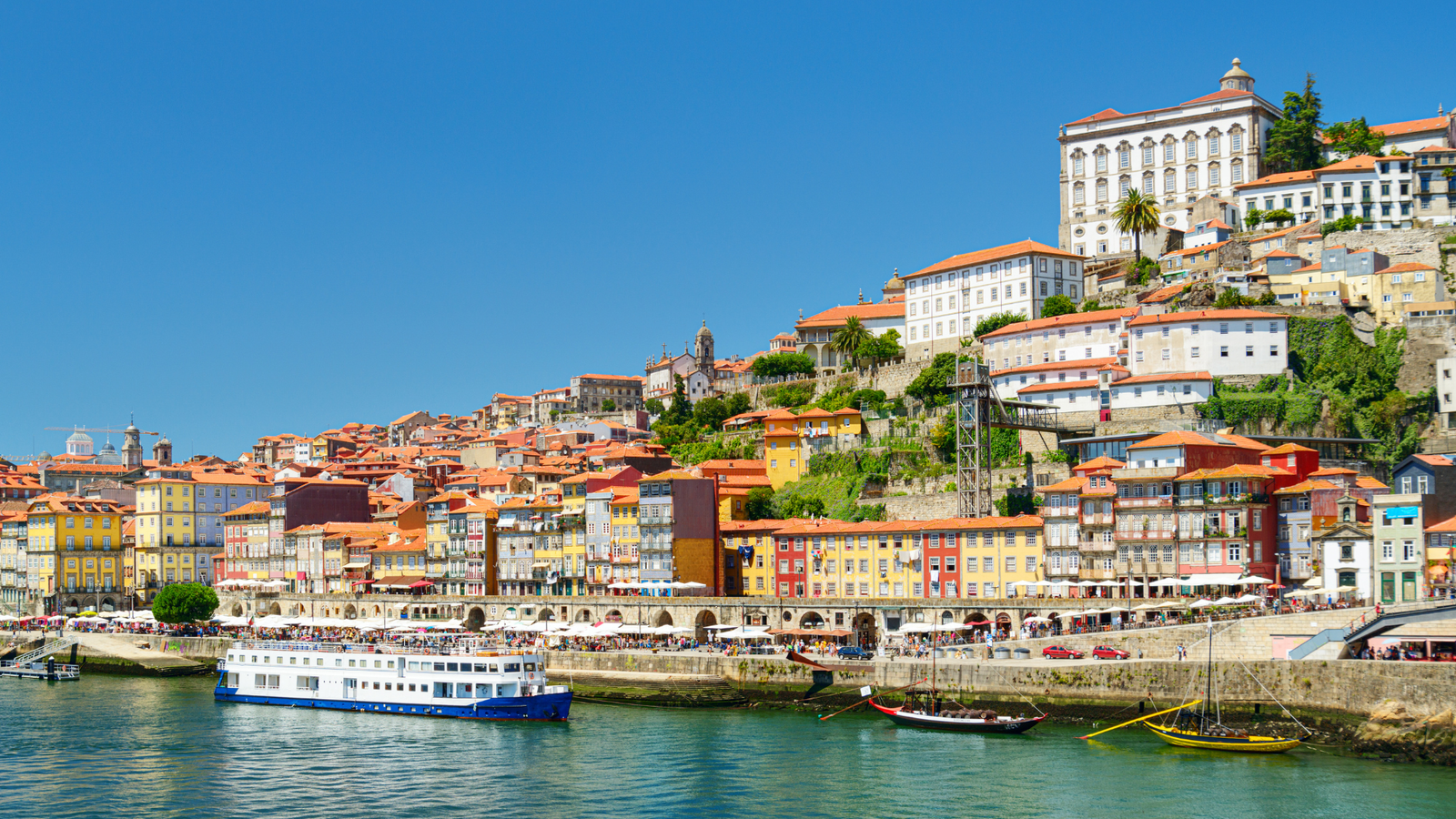 Douro Valley Vineyard